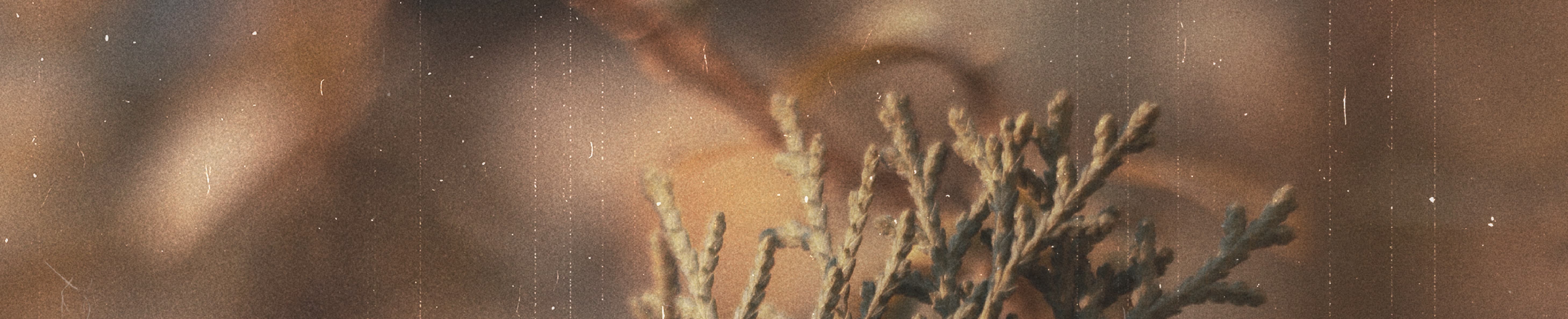 WELCOME THE STRANGER