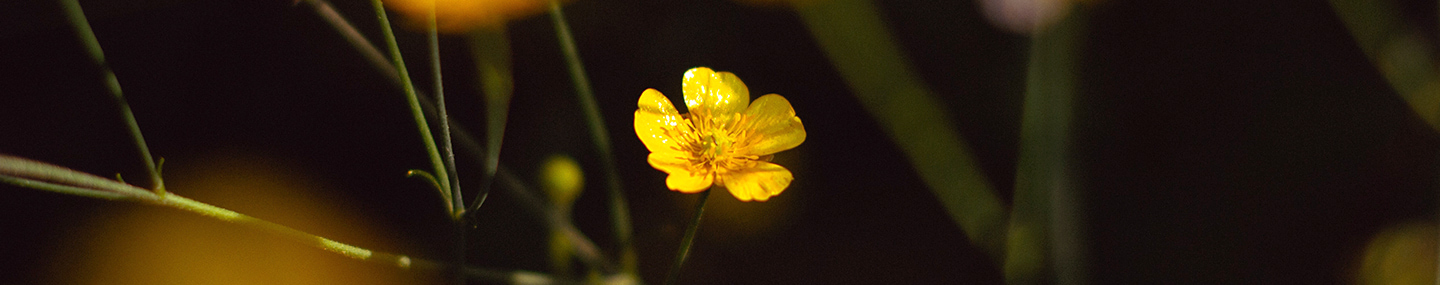 WILL YOU STILL LOVE ME?