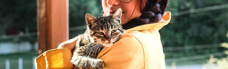 WELCOME THE STRANGER