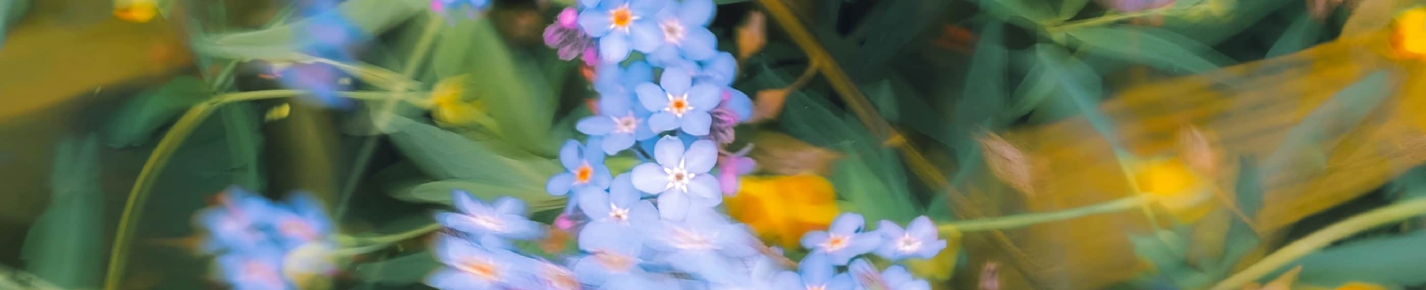 GOD'S GENEROUS LOVE