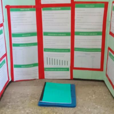 Kenya Science And Engineering Fair 7